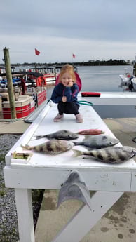 Fishing in Panama City Beach, Florida
