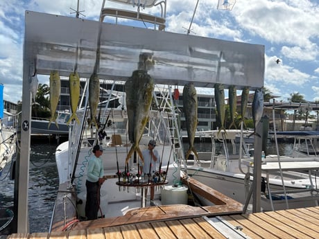 Fishing in Key Largo, Florida