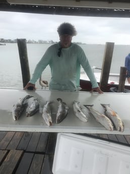 Speckled Trout / Spotted Seatrout fishing in Galveston, Texas