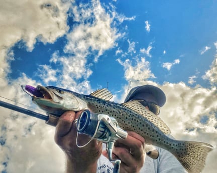 Speckled Trout / Spotted Seatrout fishing in Beaufort, North Carolina