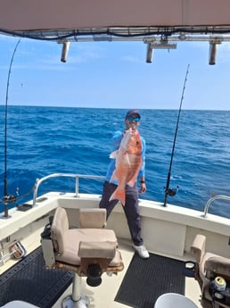 Red Snapper Fishing in