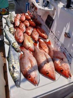 Fishing in Pensacola, Florida