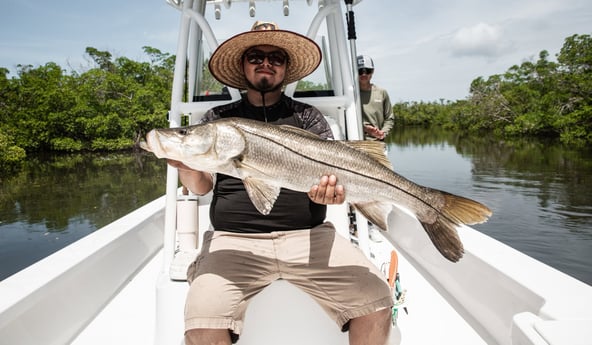 Snook Fishing in