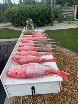 Fishing in Sarasota, Florida