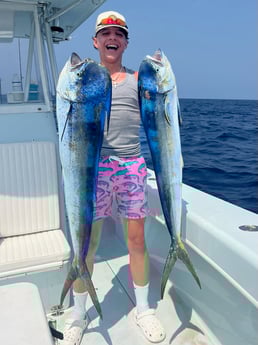 Mahi Mahi Fishing in Marathon, Florida