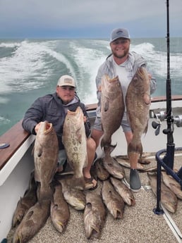 Scamp Grouper Fishing in Orange Beach, Alabama