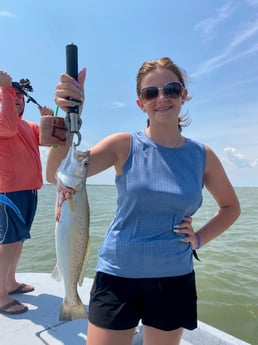 Tarpon fishing in Carolina, Carolina