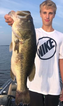 Largemouth Bass fishing in Lake Fork, Texas