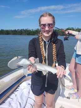 Bonnethead Shark Fishing in