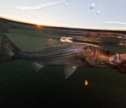 Fishing in Norwalk, Connecticut