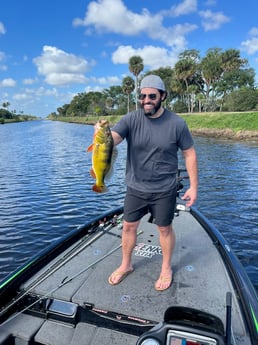 Peacock Bass Fishing in Boca Raton, Florida