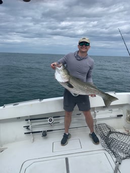 Striped Bass fishing in Montauk, New York