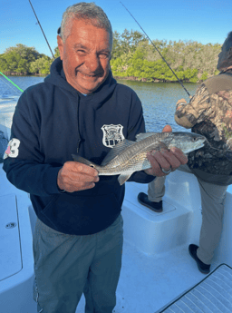 Redfish Fishing in Tampa, Florida