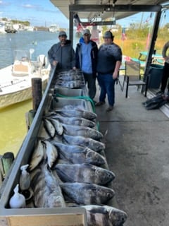 Fishing in Fayetteville, Texas