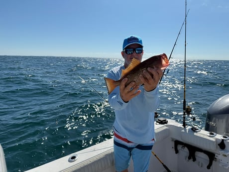 Fishing in Belleair Bluffs, Florida