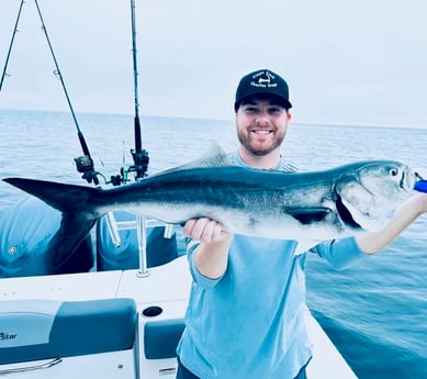 Bluefish Fishing in Bourne, Massachusetts