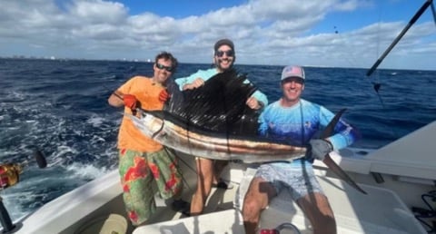 Sailfish Fishing in Pompano Beach, Florida
