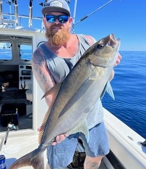 Amberjack Fishing in Charleston, South Carolina