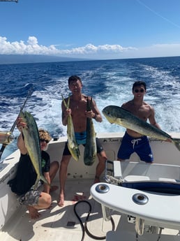 Mahi Mahi / Dorado fishing in Kailua-Kona, Hawaii