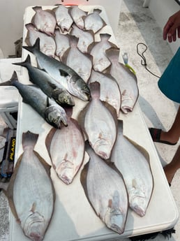 Bluefish, Flounder Fishing in Howard, New York