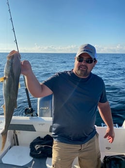 Amberjack fishing in Pensacola, Florida