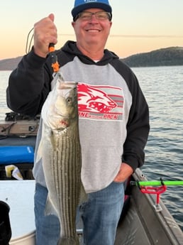 Fishing in Rogers, Arkansas