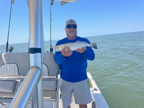 Fishing in Apalachicola, Florida