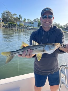 Snook Fishing in Sarasota, Florida