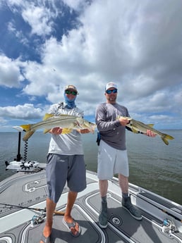 Fishing in Sarasota, Florida