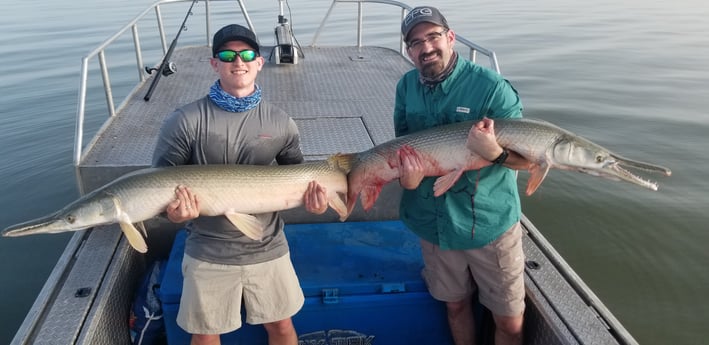 Alligator Gar fishing in Livingston, Texas