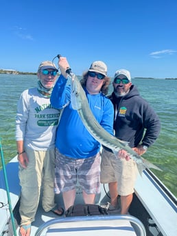 Barracuda fishing in Summerland Key, Florida