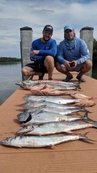Fishing in Sarasota, Florida