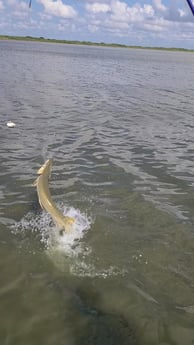 Alligator Gar Fishing in Port O&#039;Connor, Texas