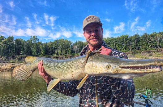Alligator Gar Fishing in