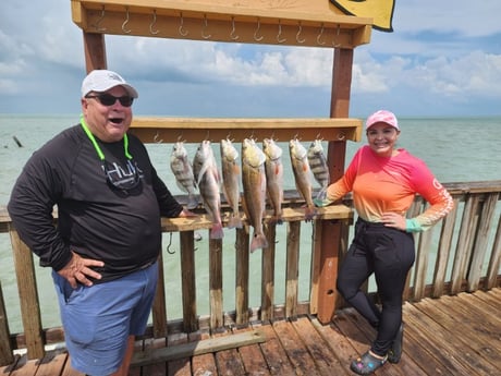 Black Drum, Redfish Fishing in Port Isabel, Texas
