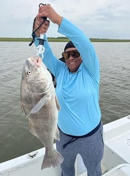 Black Drum Fishing in Galveston, Texas