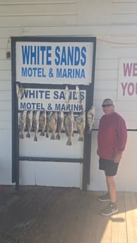 Black Drum, Speckled Trout Fishing in South Padre Island, Texas