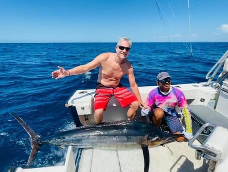 Black Marlin fishing in Guanacaste Province, Costa Rica