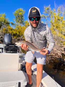 Fishing in Punta Gorda, Florida