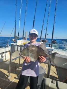 Fishing in Orange Beach, Alabama