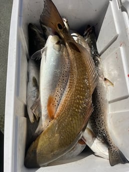 Fishing in Theodore, Alabama