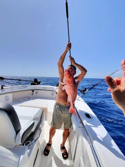 Fishing in Sarasota, Florida