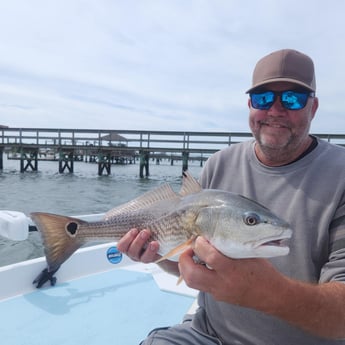 Redfish Fishing in Trails End, North Carolina