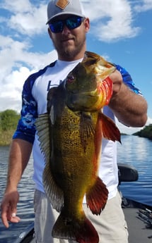 Peacock Bass fishing in Fort Lauderdale, Florida