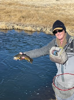 Fishing in Hume, California