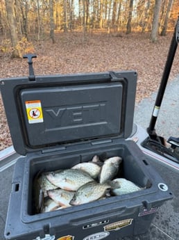 Fishing in Salisbury, North Carolina