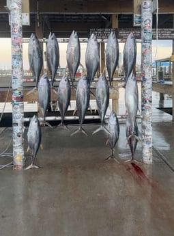 Fishing in Buras, Louisiana