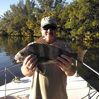 Black Drum Fishing in Melbourne, Florida