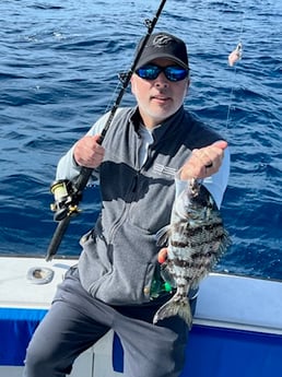 Fishing in Wellington, Florida