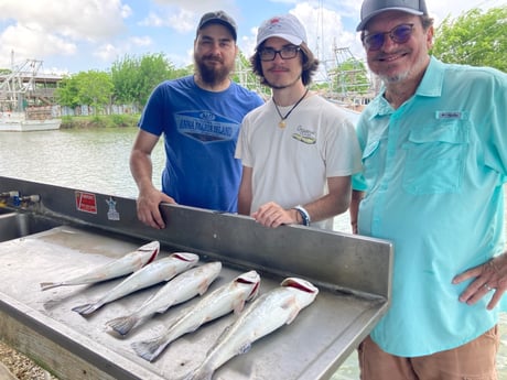 Speckled Trout / Spotted Seatrout fishing in Texas City, Texas